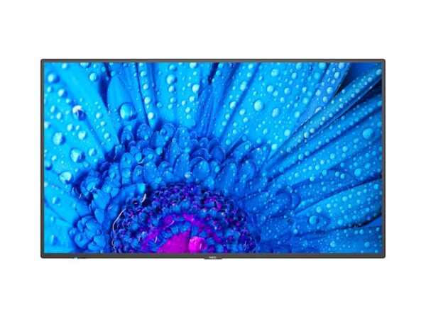 60005047 - MON 43"IPS NEC UHD VGA 3HDMI 4K MM NEC M431